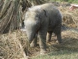 DSCF3244.JPG